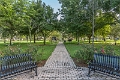 George Touhy Park-6746